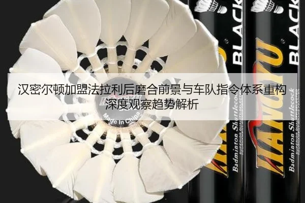 汉密尔顿加盟法拉利后磨合前景与车队指令体系重构深度观察趋势解析