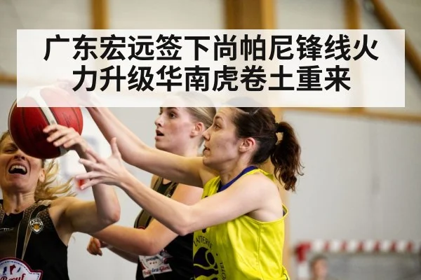 广东宏远签下尚帕尼锋线火力升级华南虎卷土重来